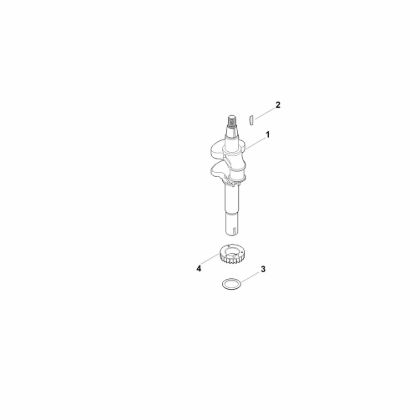 Imagen de D - Cigáeáal EVC 300.0 E (EVC300-0002)