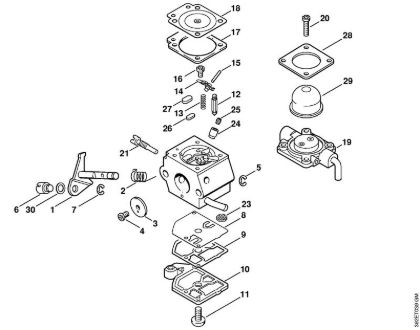 Podadoras en altura (HT) HT 70 Carburador C1Q-S56   1 48 792 225 (16.2001) de la marca Stihl
