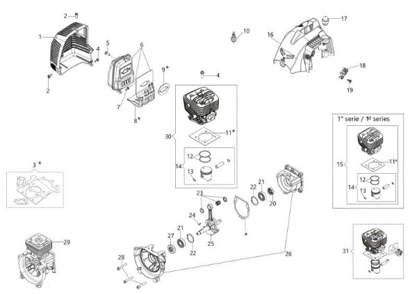 Engine BC 300 T Brushcutter