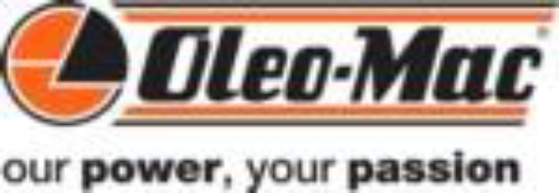Imagen para la categoría TR 100 E Orilladora eléctrica
