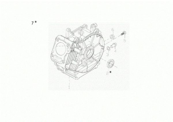 Carter motor 055
